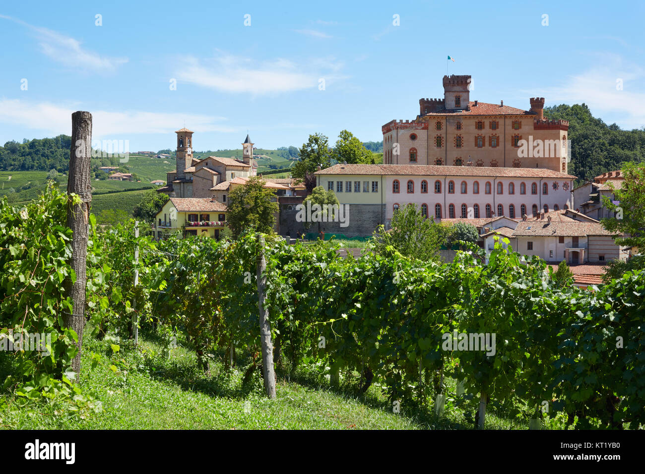 Barolo Vigneto e castello medievale in Piemonte sulle colline delle Langhe in Italia. Foto Stock