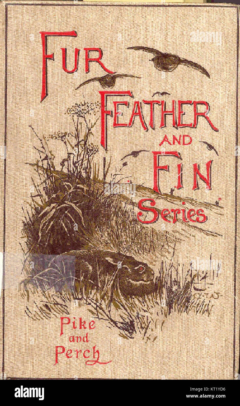Un'illustrazione di copertina che raffigura un luccio e un persico, probabilmente di una rivista di pesca o all'aperto, che enfatizza la vita acquatica e le specie nel loro habitat naturale. Foto Stock