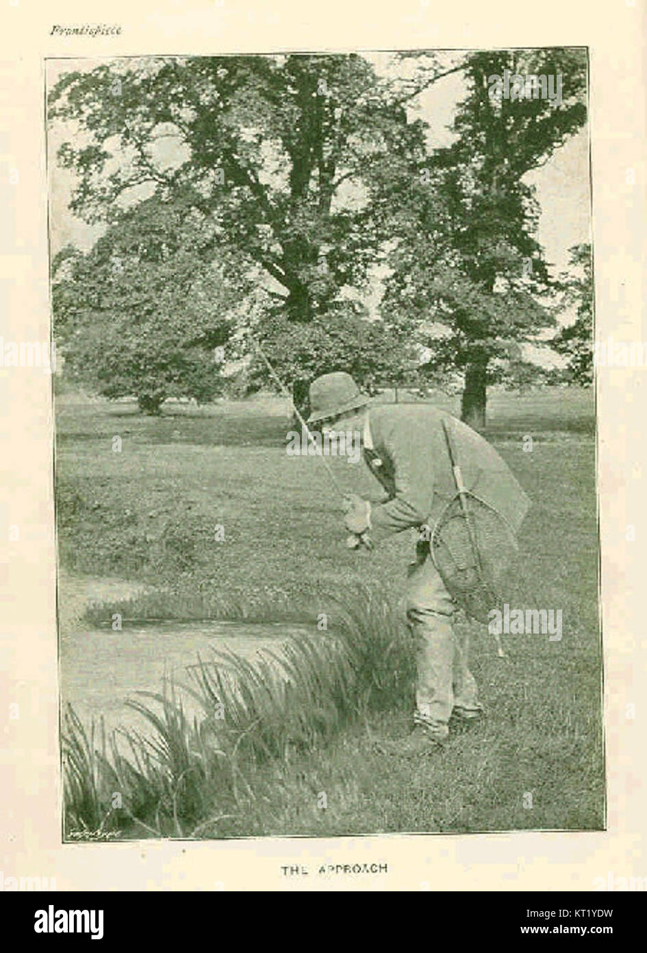 L'approccio 32615 si riferisce a un metodo o una strategia specifici, probabilmente in un contesto scientifico, tecnico o commerciale. Potrebbe riguardare una procedura o un approccio particolare utilizzato in uno studio o in un processo di sviluppo. Foto Stock