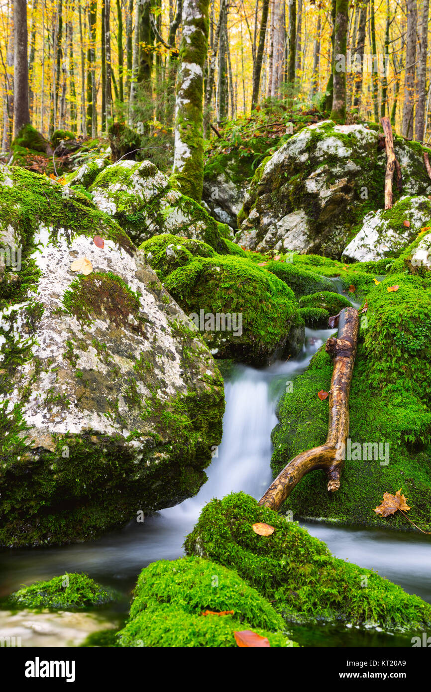 Vista di un bellissimo autunno creek vicino a Bohinj Foto Stock