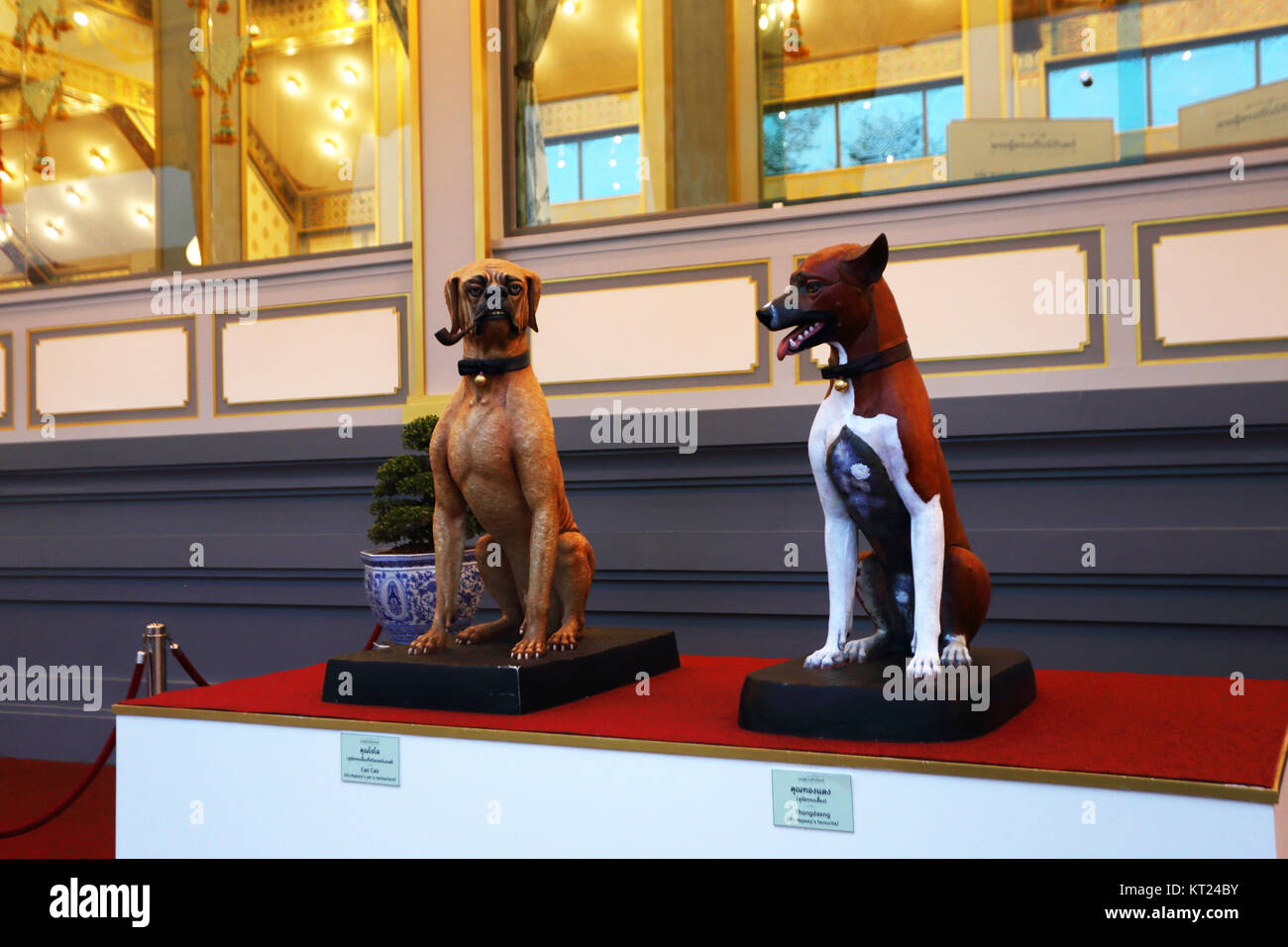 Cao Cao sulla sinistra e Thongdaeng sulla destra, sono del compianto Re Bhumibol di cani. Foto Stock