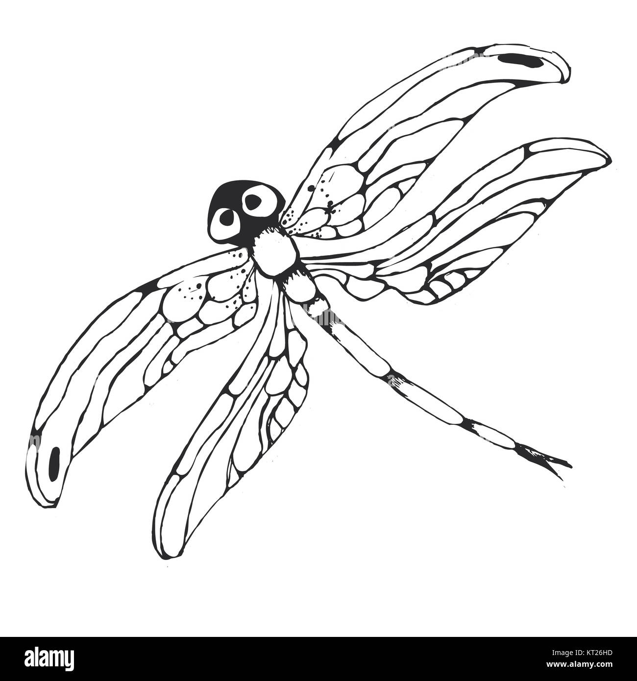 Dragonflie. Disegnata a mano illustrazione grafica in bianco e nero Foto Stock