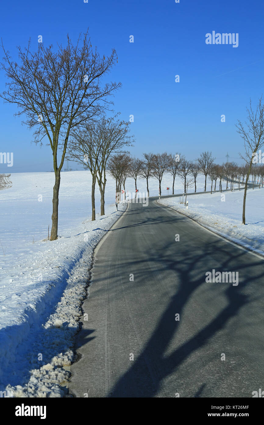 Strada di campagna in inverno Foto Stock