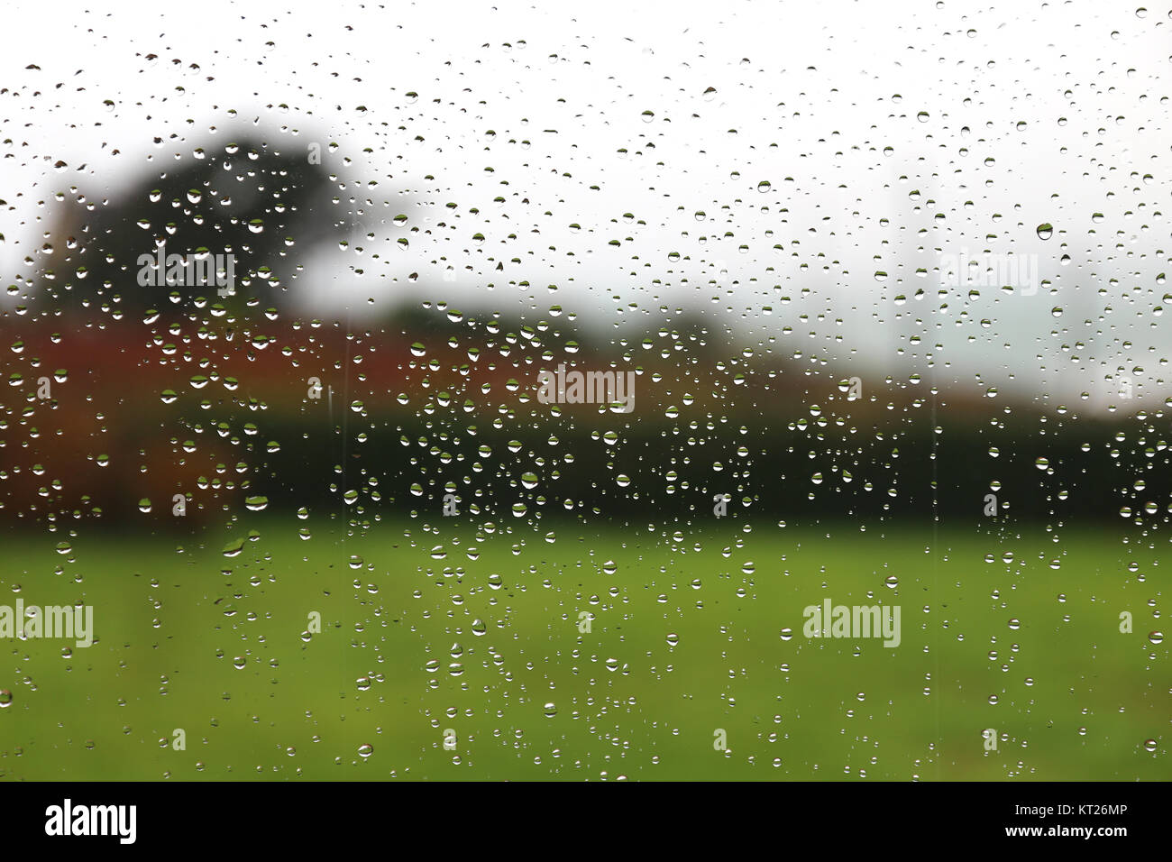 Regentropfen auf einer Fensterscheibe, unscharfe Landschaft im Hintergrund Foto Stock