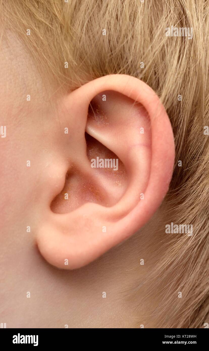 Il Toddler boys orecchio umano Foto Stock