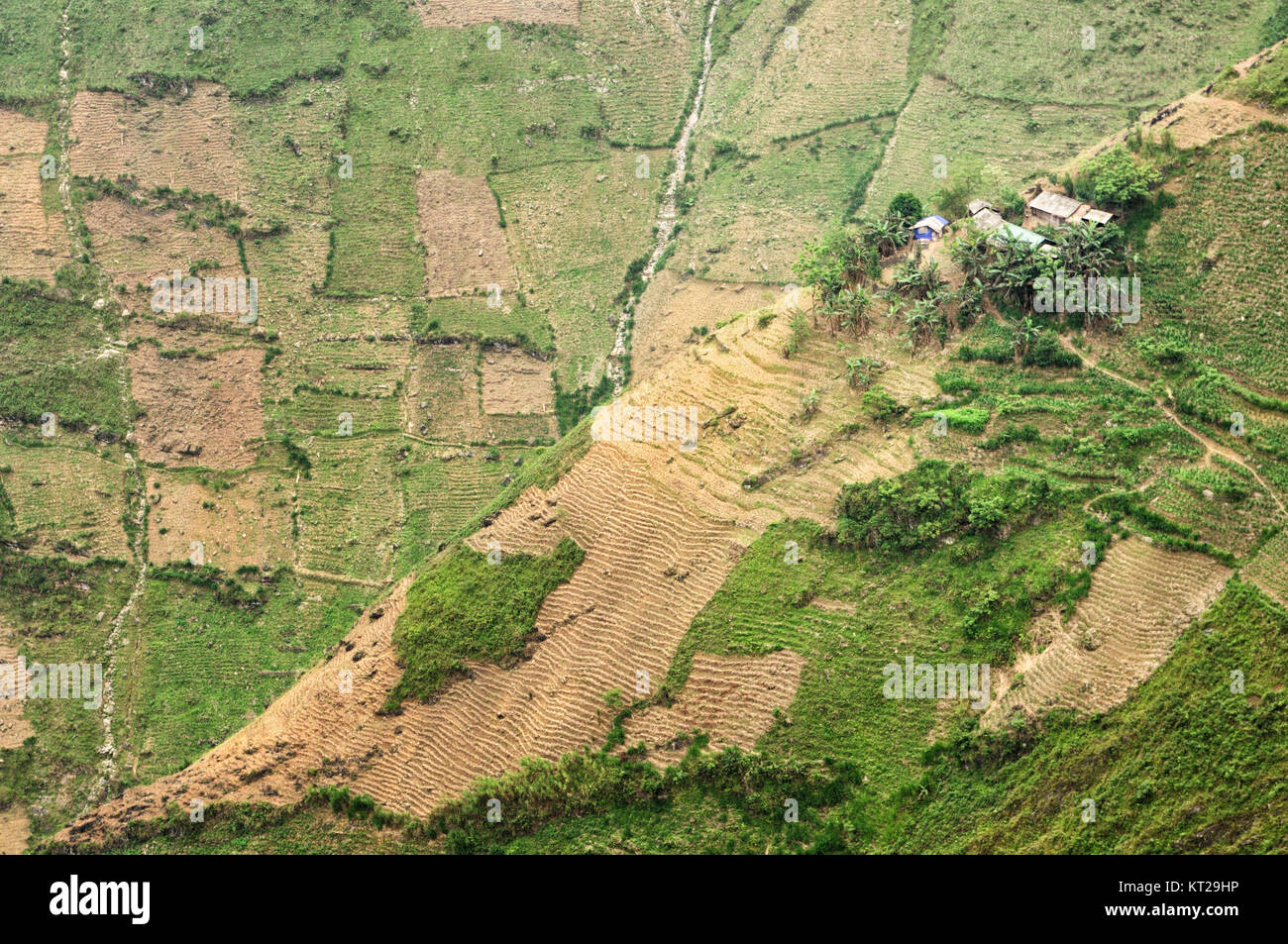 Case sul versante tra Dong Van e Meo Vac in Ha Giang Provincia del Vietnam del nord Foto Stock