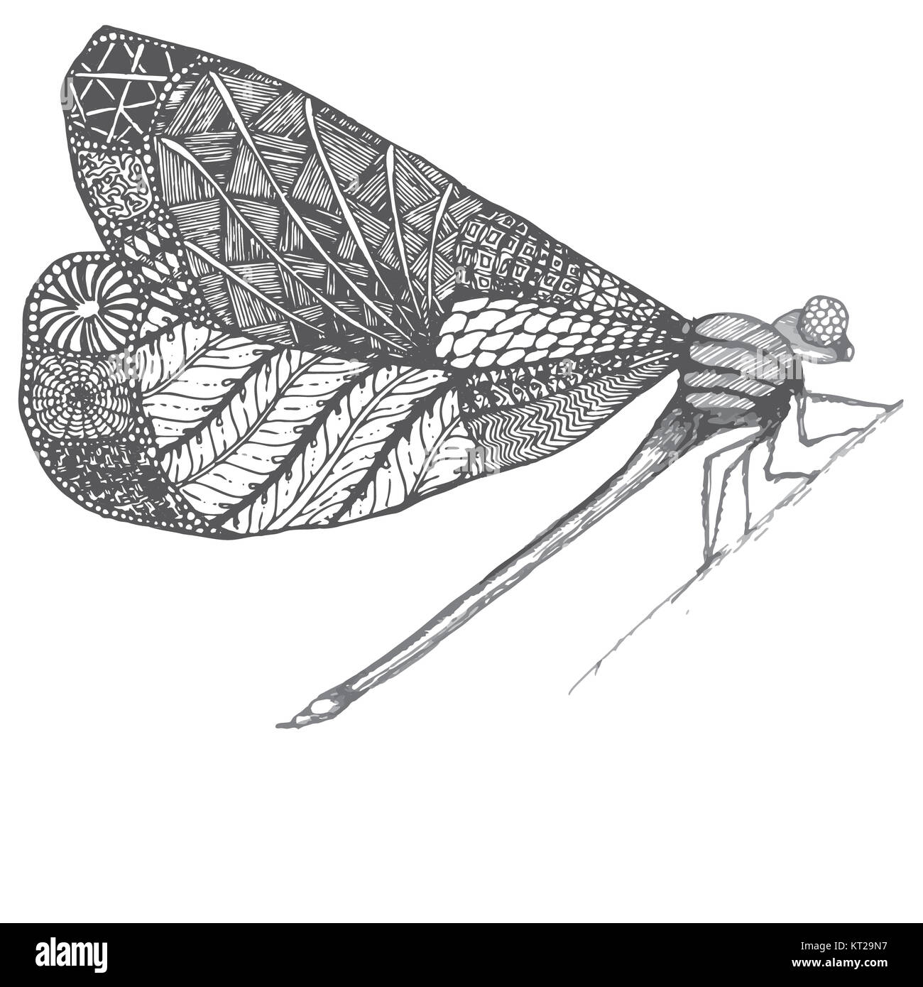 Dragonflie. Disegnata a mano illustrazione grafica in bianco e nero e colori bianco e grigio. Doodle immagine. Foto Stock