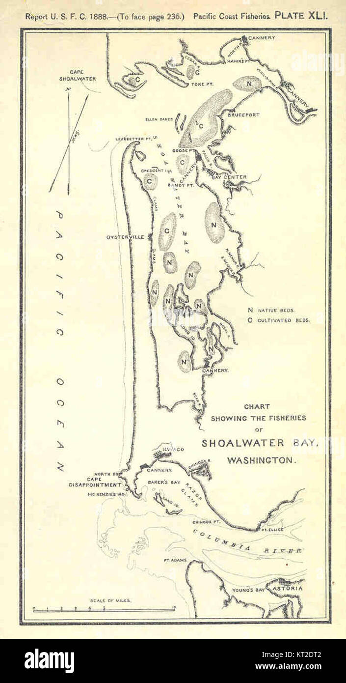 33420 grafico mostrante la pesca del Shoalwater Bay, Washington Foto Stock