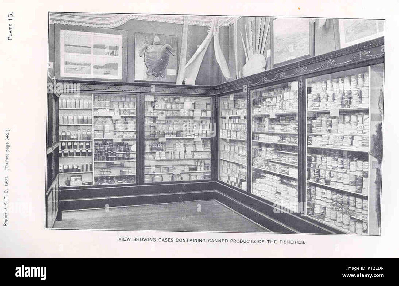 Questa immagine del 33755 mostra casi contenenti conserve di prodotti della pesca, illustrando il ruolo dell'imballaggio e della conservazione nell'industria della pesca. Riflette l'aspetto commerciale della distribuzione e del commercio dei prodotti ittici. Foto Stock