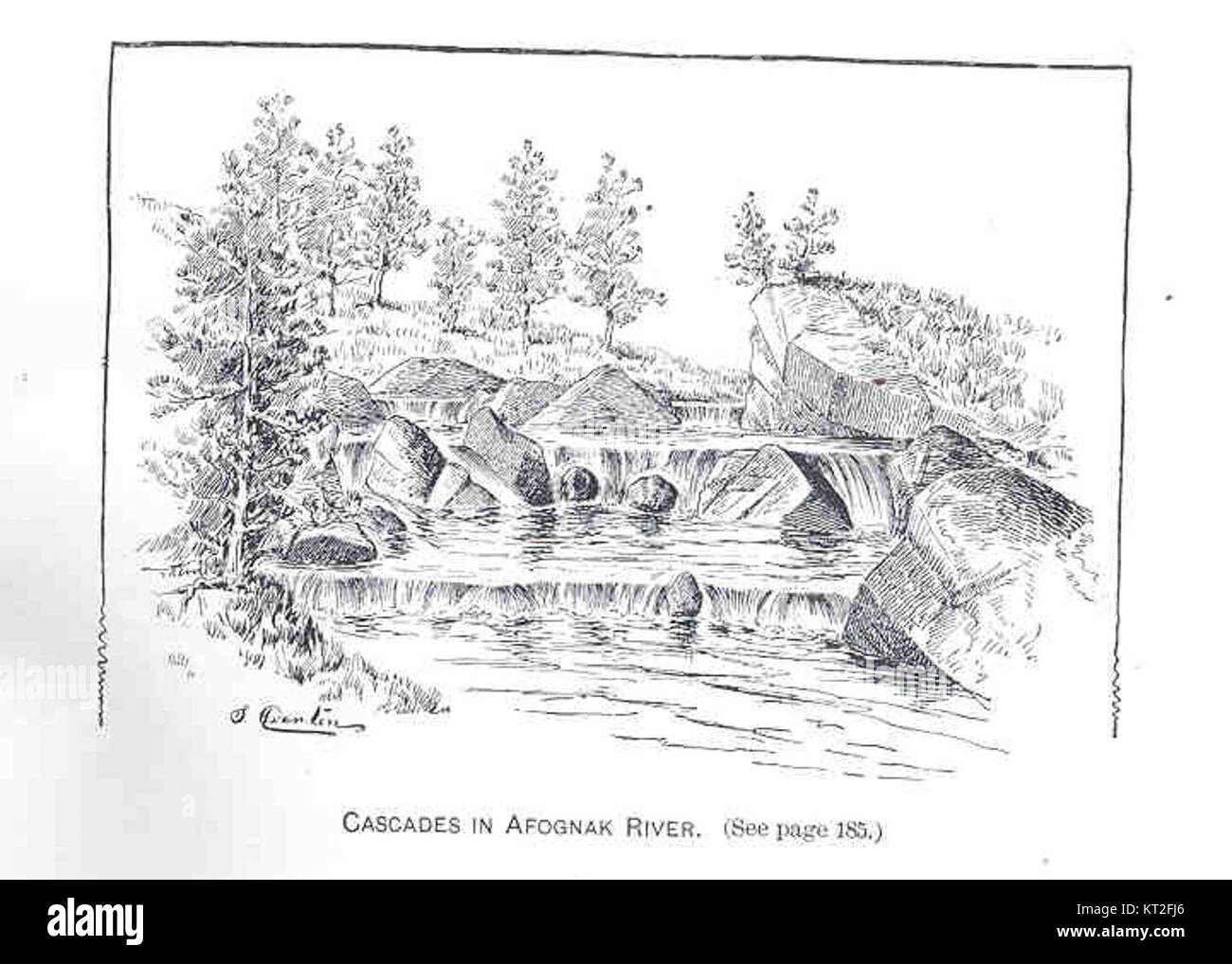 Le cascate del fiume Afognak, situate in Alaska, sono una caratteristica naturale notevole nota per il loro incredibile flusso d'acqua e la natura selvaggia circostante. Questo sito è significativo per gli studi ambientali e per l'ecologia locale. Foto Stock