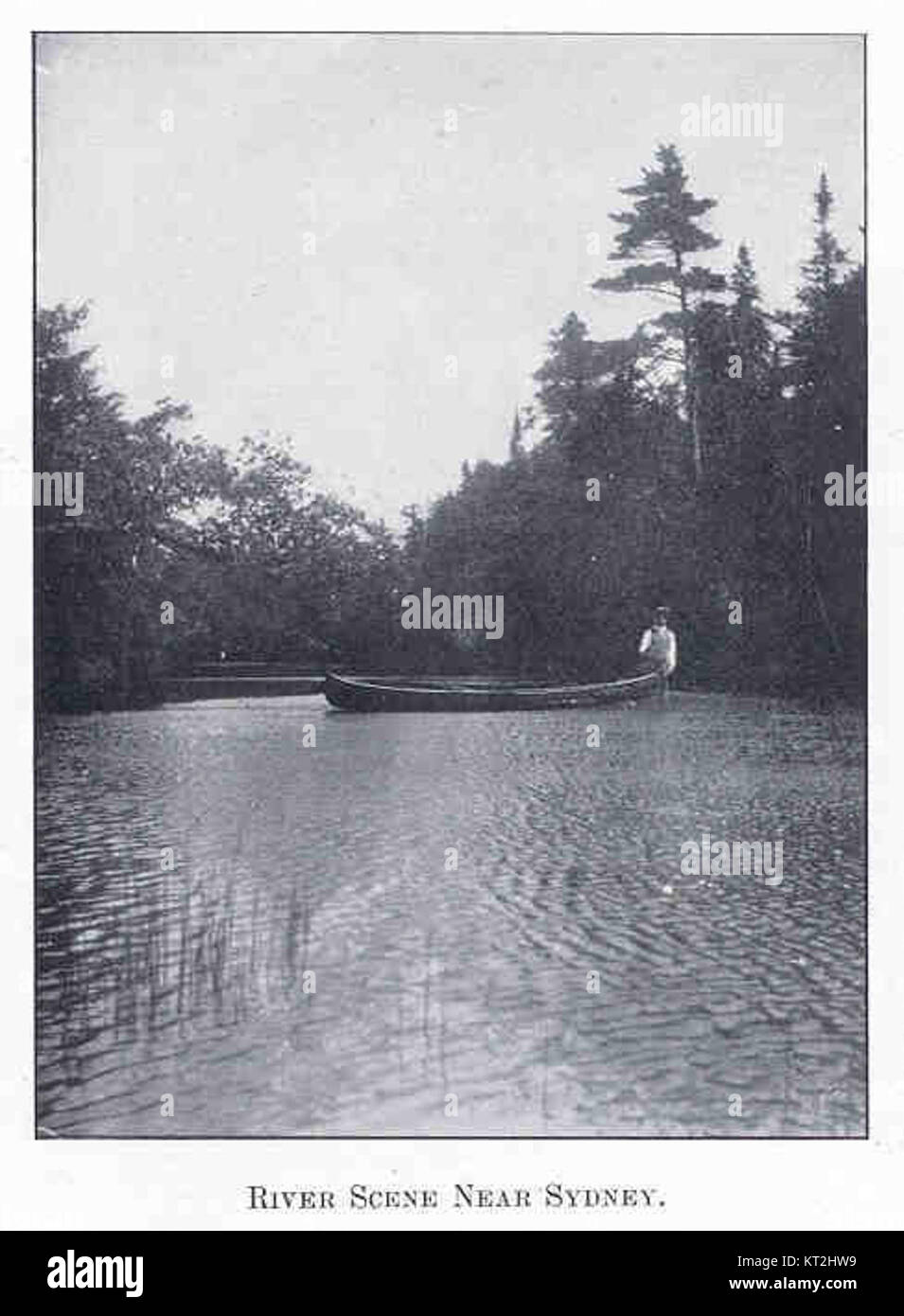 Una vista panoramica di un fiume vicino a Sydney, Australia, scattata in una fotografia, che mette in risalto la bellezza naturale del paesaggio. Foto Stock