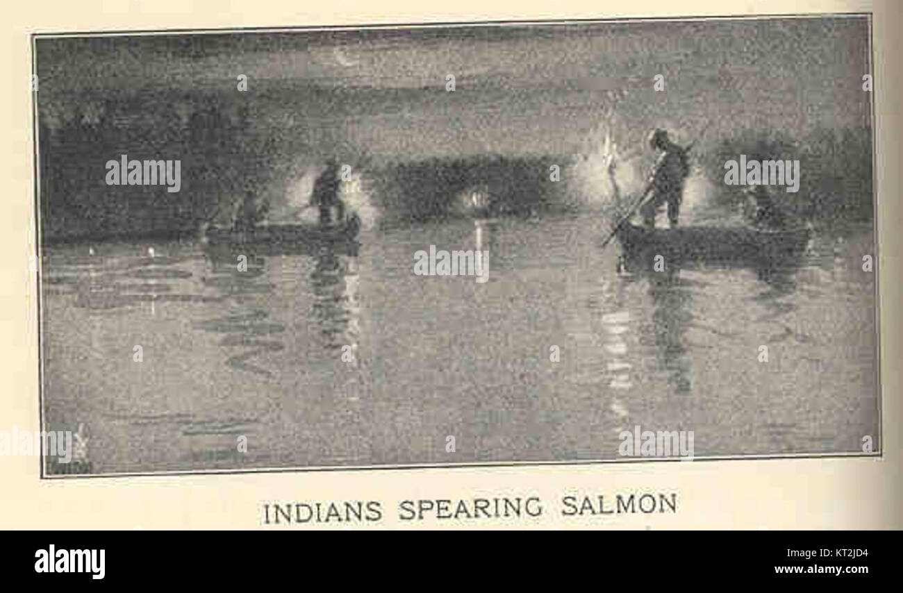Questa fotografia storica raffigura i nativi americani che lanciano salmone, un metodo di pesca tradizionale utilizzato dalle tribù indigene del Nord America. L'immagine mette in evidenza le pratiche culturali e le tecniche di sopravvivenza. Foto Stock
