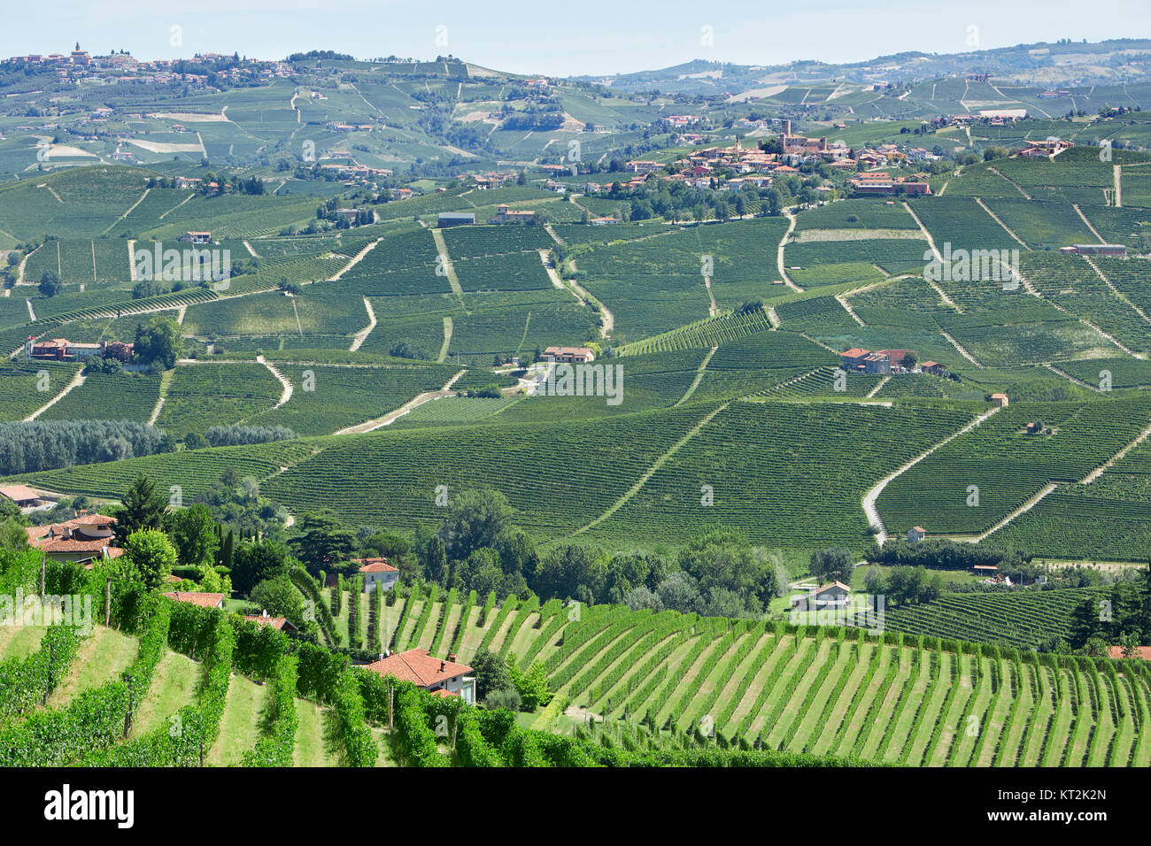 Verde di vigneti e Serralunga d'Alba in Piemonte, Italia Foto Stock