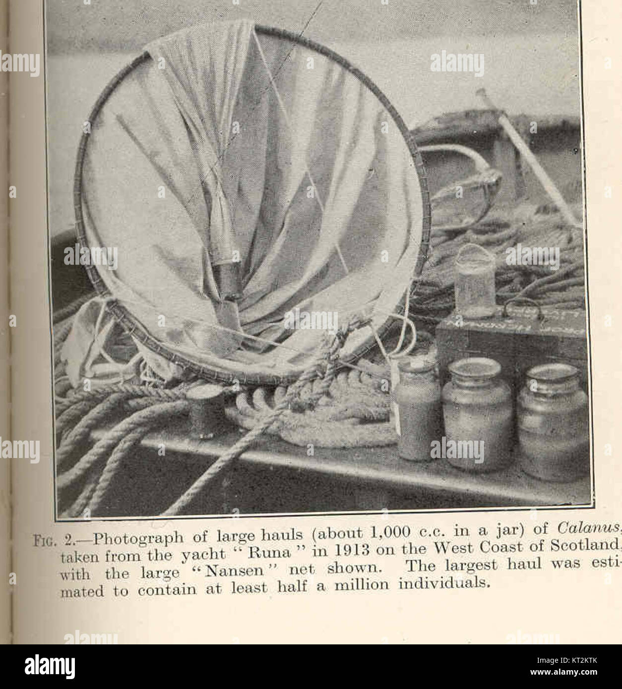 36373 Fotografia di cale di grandi dimensioni (circa 1.000 cc in un vasetto) di Calanus presi dallo yacht 'esecuzione di' nel 1913 sulla costa ovest della Scozia Foto Stock