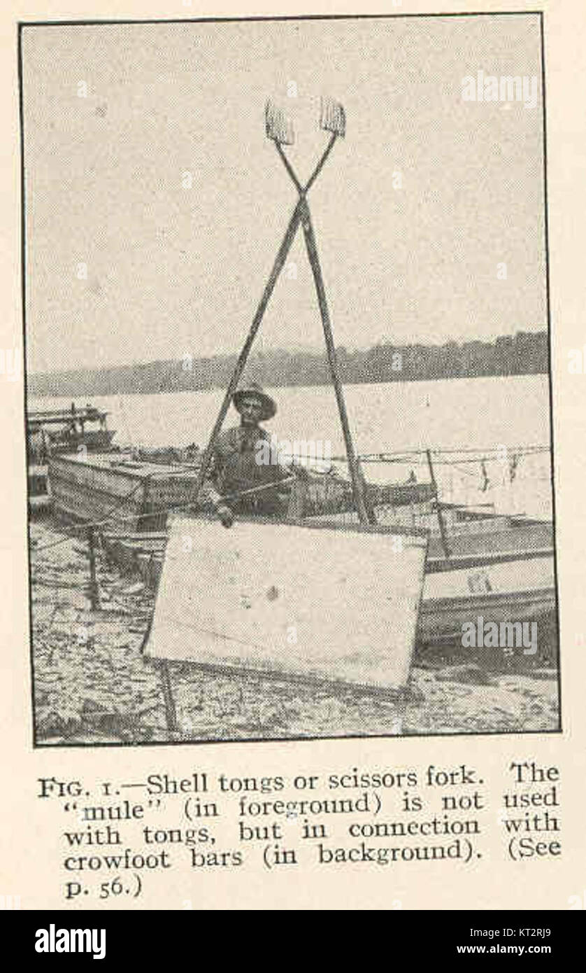 Il "mulo" in primo piano è un antico strumento utilizzato in combinazione con le barre a piede aperto, non con le pinze, tipicamente associato alla lavorazione dei metalli. I toni di conchiglia e le forbici si riferiscono a diversi tipi di utensili utilizzati in vari scambi manuali. Questi oggetti sono manufatti storici e illustrano lo sviluppo di tecniche artigianali nel tempo. Foto Stock