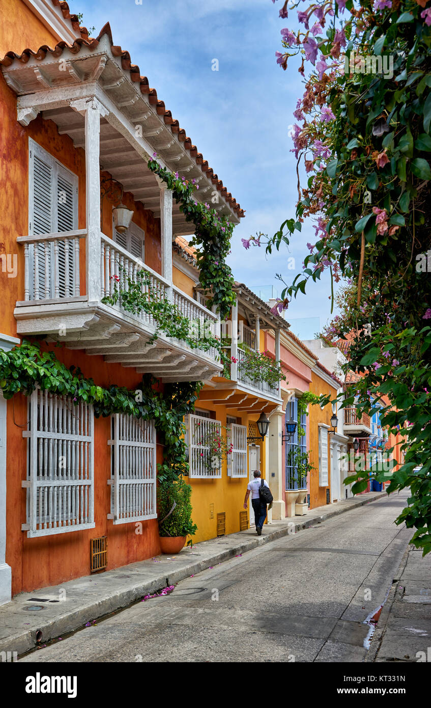 Tipiche facciate colorate con balconi e fiori di case a Cartagena de Indias, Colombia, Sud America Foto Stock