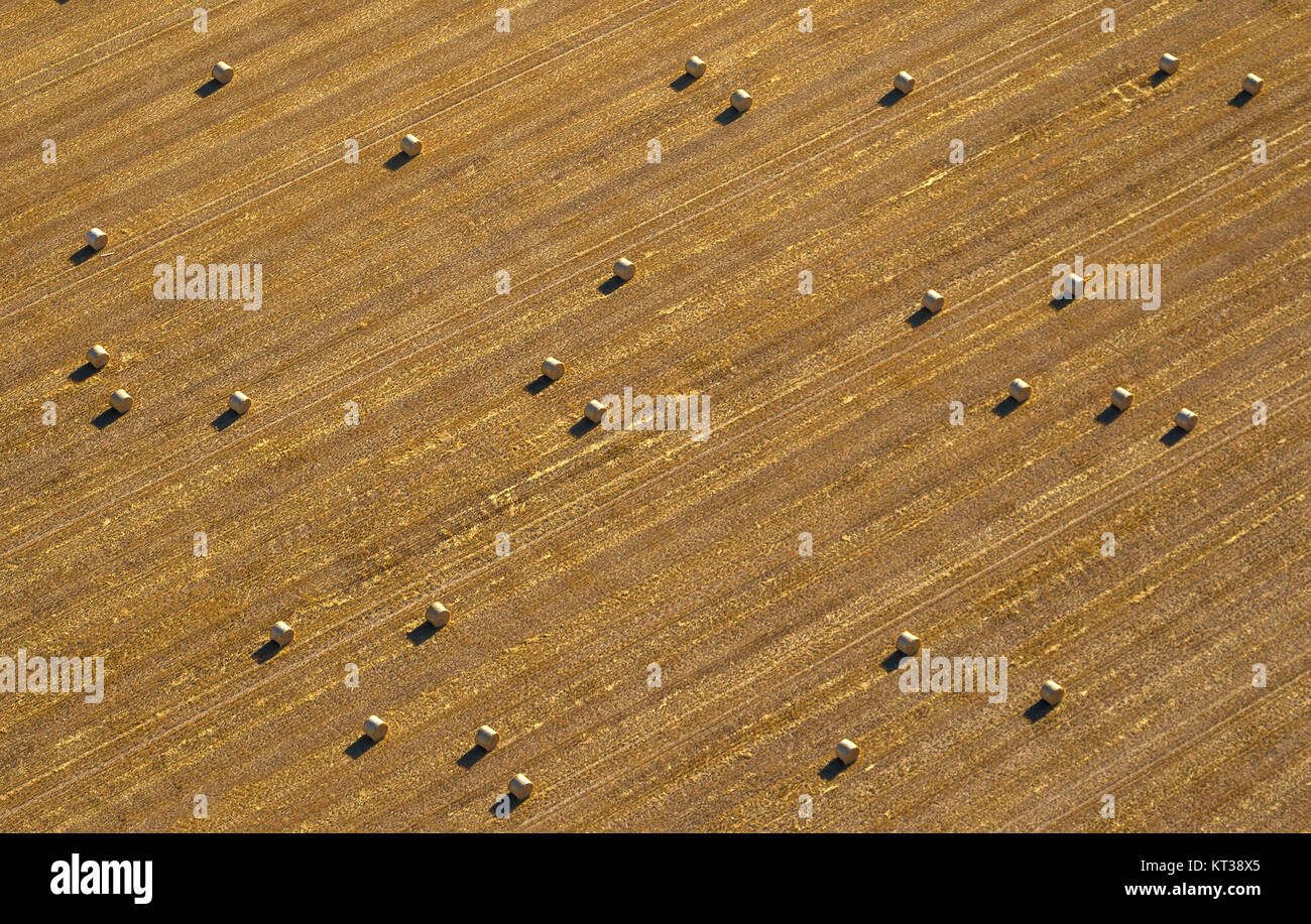 Elten raccolto mietuto i campi con le balle di paglia, rotoli di paglia, vista aerea di Emmerich am Rhein, Basso Reno, Emmerich am Rhein, Basso Reno, Renania del Nord- Foto Stock