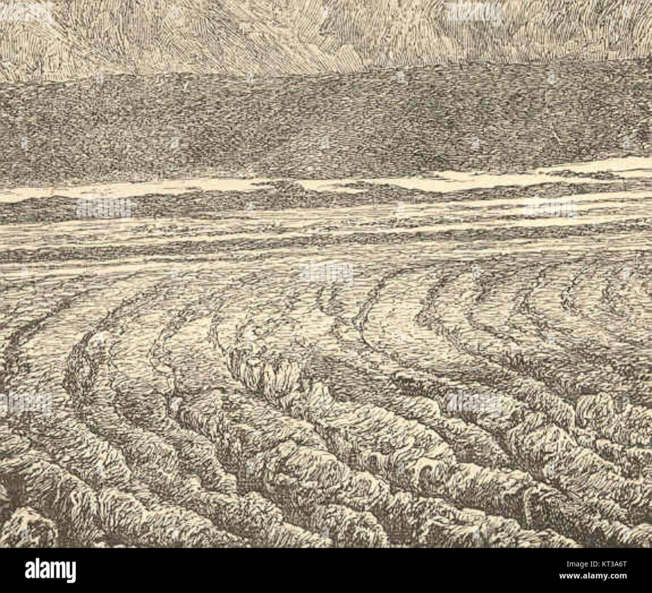 L'immagine raffigura crepacci curvi su un ghiacciaio, mostrando il movimento naturale e lo stress che i ghiacciai subiscono mentre si spostano da sinistra a destra. Questi crepacci sono indicatori significativi della dinamica glaciale e dei cambiamenti ambientali. Foto Stock