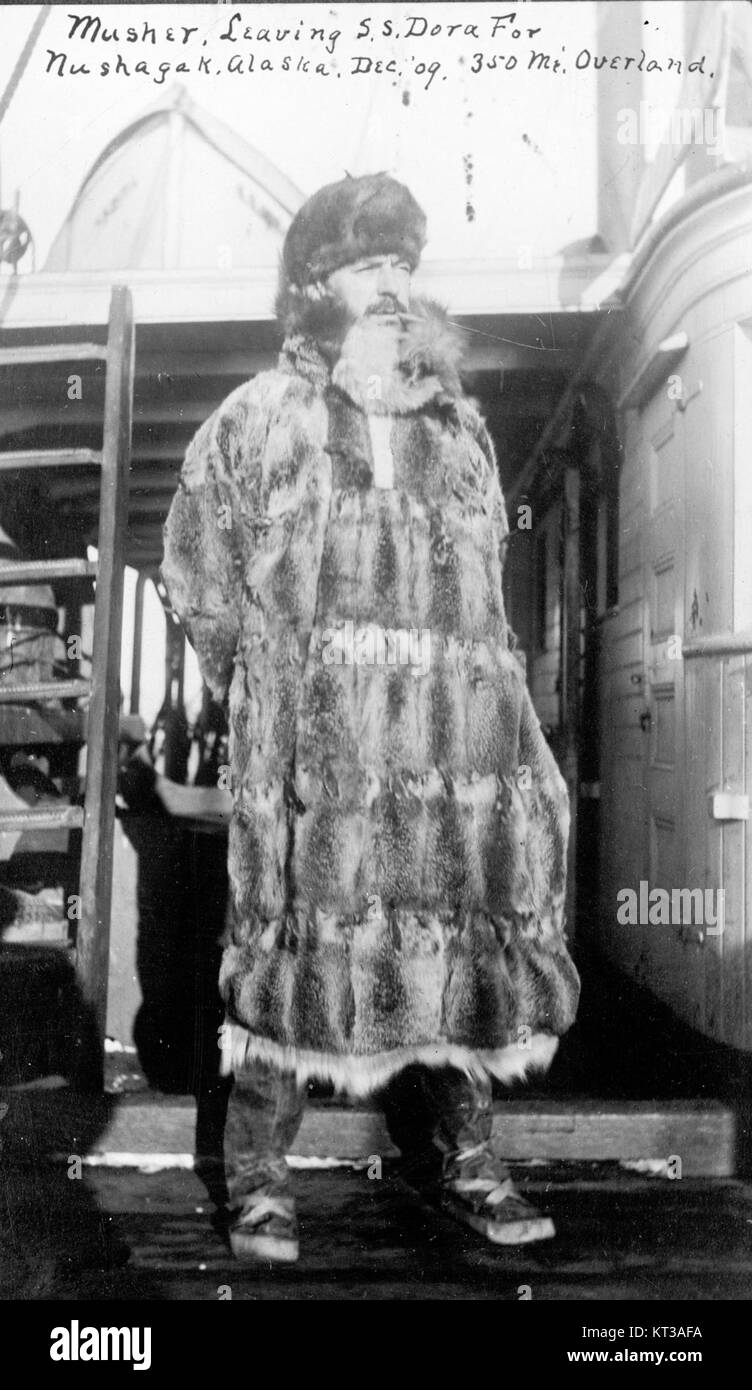 Un musher dell'Alaska del 1909 viene catturato in una fotografia storica, che probabilmente raffigura i primi giorni di slitta trainata da cani. L'immagine evidenzia l'importanza dei cani da slitta nel trasporto e nella cultura dell'Alaska durante quel periodo. Foto Stock