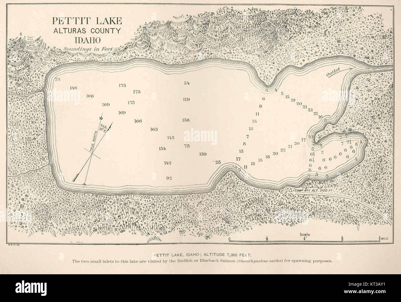 Il lago Pettit, situato in Idaho a un'altitudine di 7.300 metri, è noto per la sua bellezza paesaggistica e la presenza di pesci rossi o salmone Blueback. Le due piccole insenature sono una caratteristica fondamentale e offrono un ambiente unico per le specie di salmone da visitare per la riproduzione e l'habitat. Foto Stock
