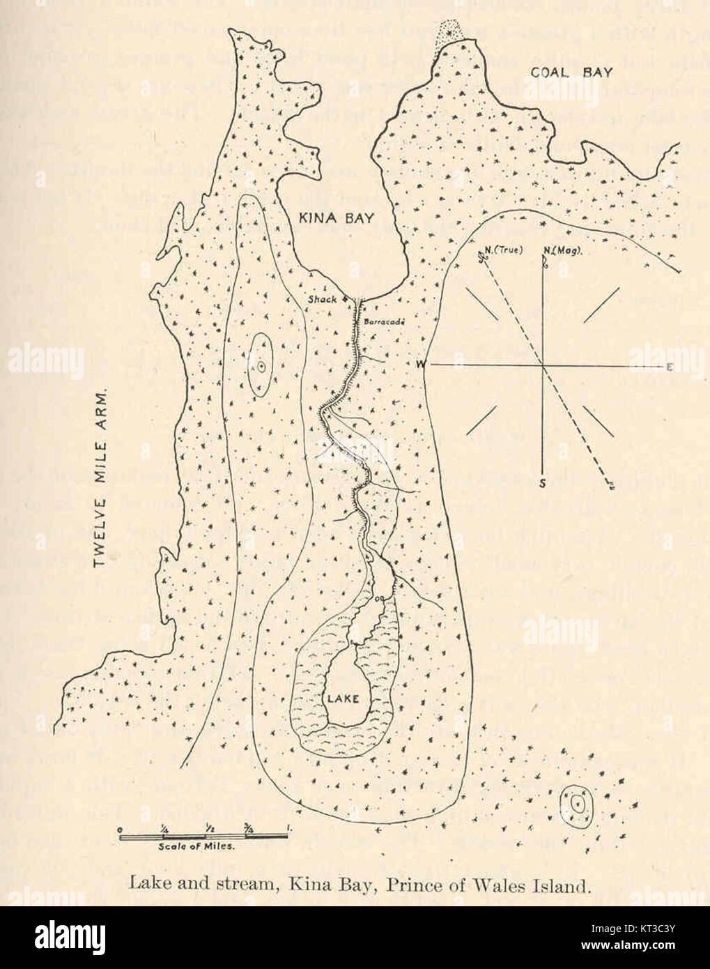 40765 Lake and Stream a Kima Bay, situato sull'isola Prince of Wales in Alaska, offre un ambiente naturale sereno. L'area è caratterizzata da un mix di tranquilli corsi d'acqua, lussureggianti dintorni verdi e terreni accidentati, offrendo un ambiente pittoresco per attività all'aperto come pesca ed escursioni. Foto Stock