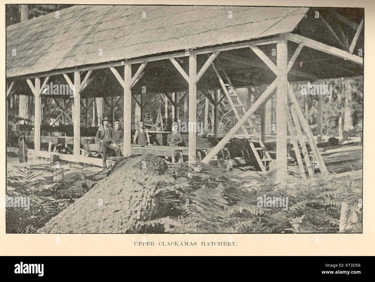 L'Upper Clackamas Hatchery, situato in Oregon, si concentra sulle operazioni di vivaio ittico per la conservazione delle specie ittiche locali, tra cui salmoni e trote. Svolge un ruolo significativo nel mantenimento delle popolazioni ittiche nei fiumi e nei torrenti della regione. Foto Stock