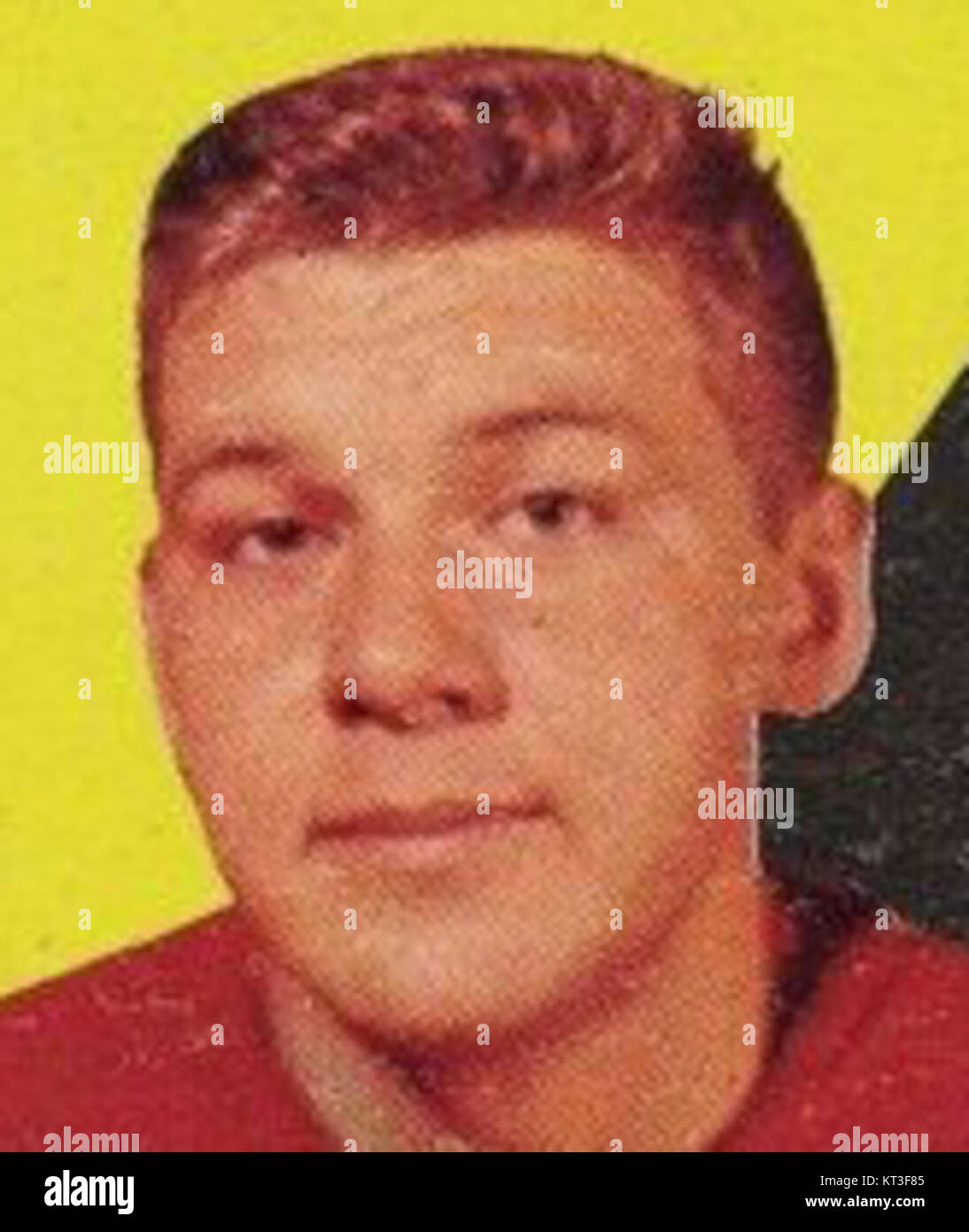 Un ritratto ritagliato di Alex Delvecchio, una figura leggendaria dell'hockey su ghiaccio, che mostra il suo contributo allo sport. Foto Stock