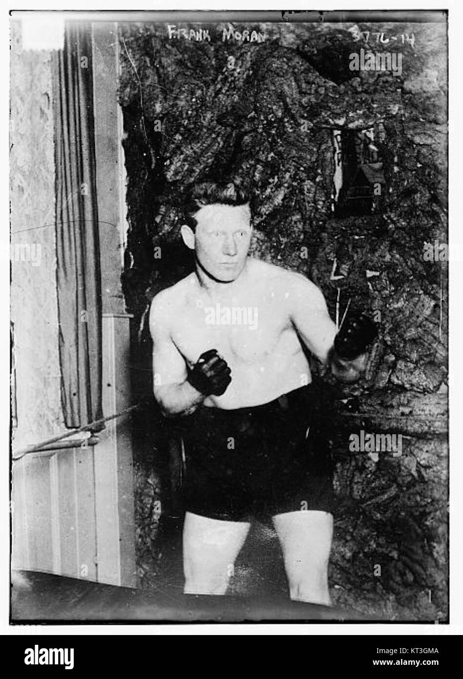 Frank Moran (1887 – 1967) è stato un pugile e attore statunitense. Ha sfidato due volte il World Heavyweight Championship ed è apparso in oltre 135 film durante i suoi 25 anni di carriera. Foto Stock