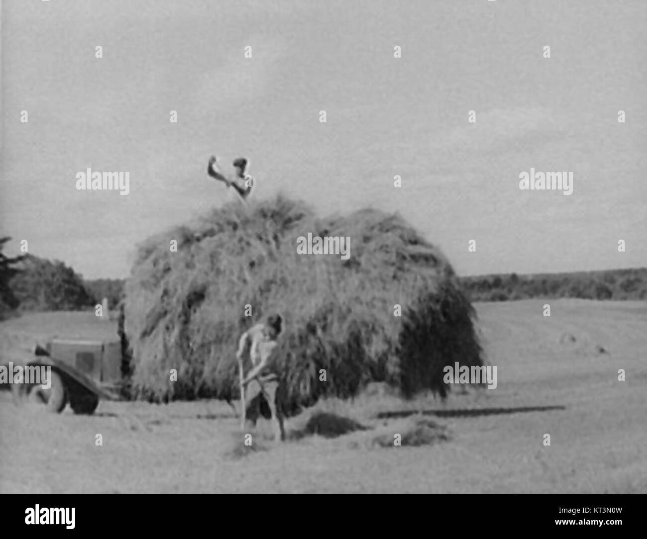 La pratica del fieno si riferisce al processo di raccolta dell’erba per il fieno, un’attività agricola essenziale. Si tratta di tagliare, asciugare e conservare l'erba per l'alimentazione degli animali durante i mesi invernali. Foto Stock