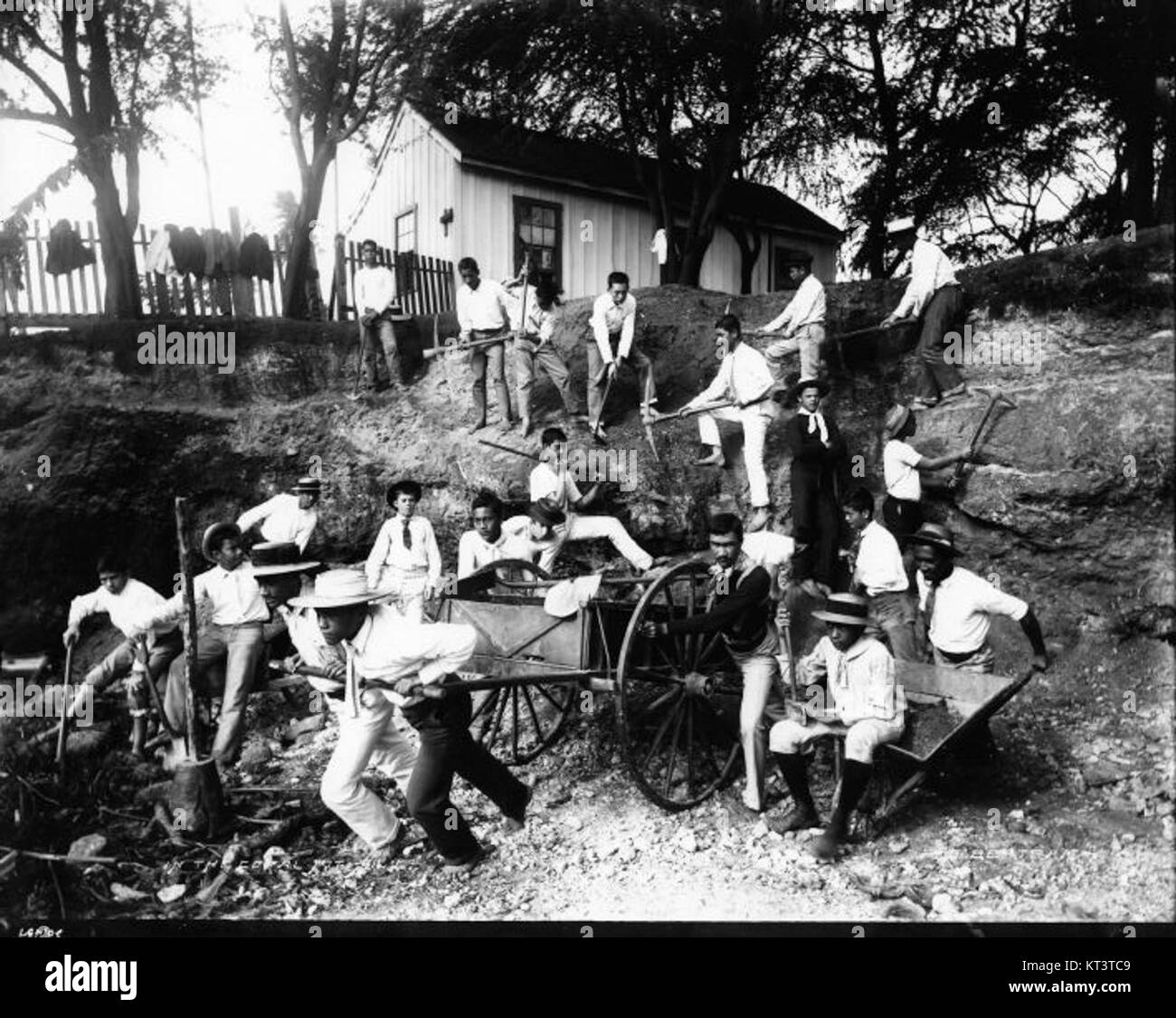 Una fotografia intitolata "in the Coral Pit 20437 0001", scattata da fratello Bertram, raffigurante una scena in una fossa di corallo. L'immagine evidenzia le intricate formazioni e la vivace vita marina all'interno dell'ecosistema corallino. Foto Stock