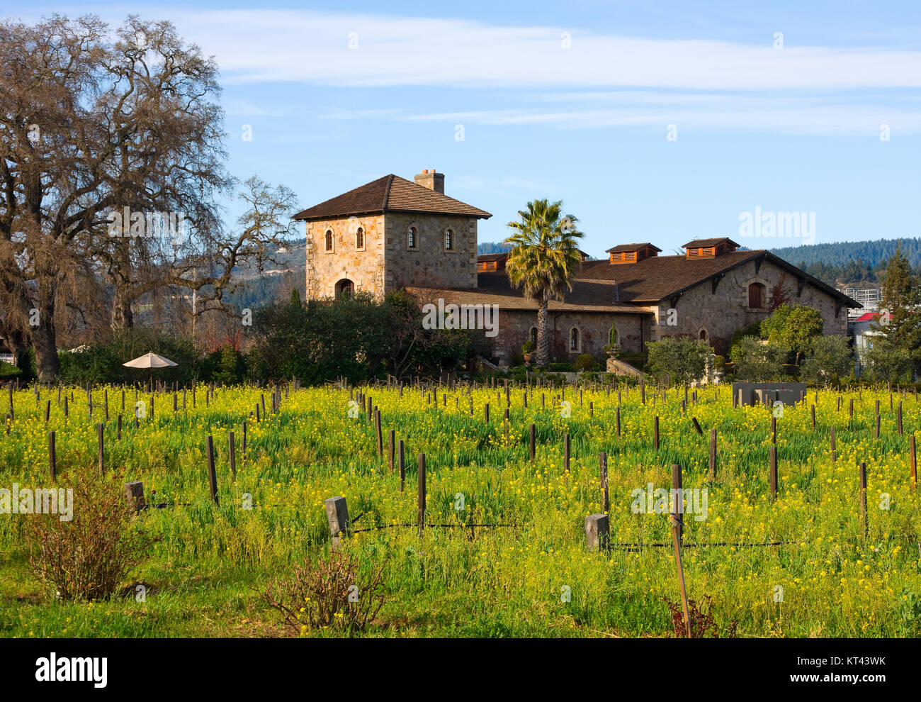 Azienda vinicola nella Napa Valley Foto Stock