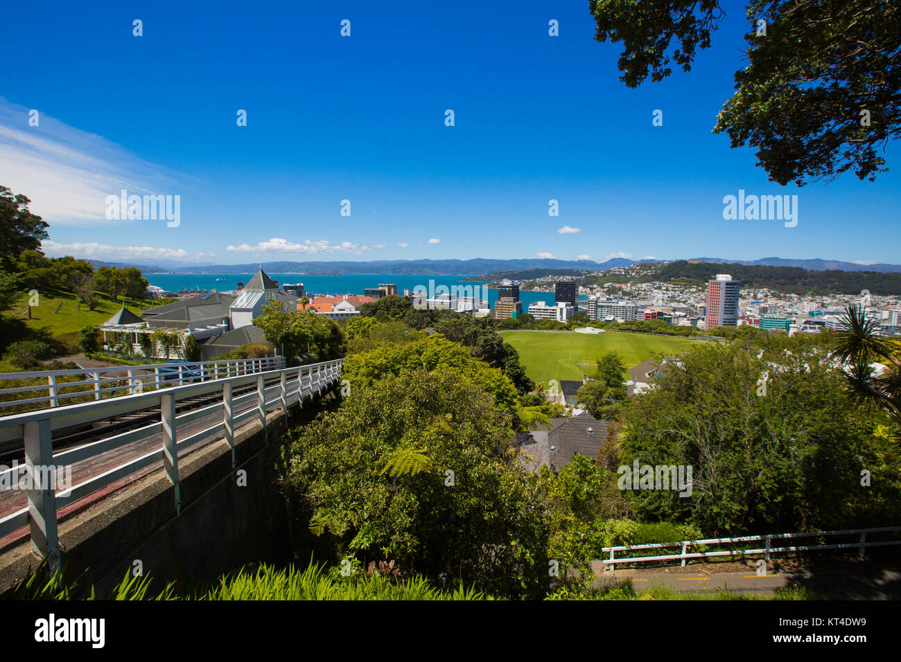 Vista di Wellington, Nuova Zelanda Foto Stock