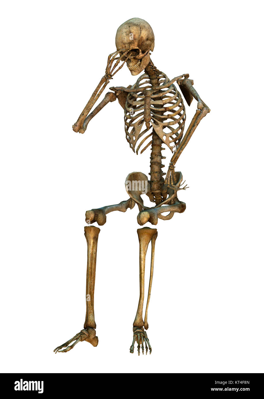 3D Rendering scheletro umano su bianco Foto Stock