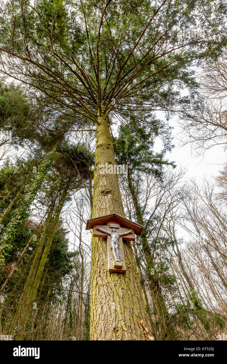 Croce di Cristo sull'albero nella foresta Foto Stock