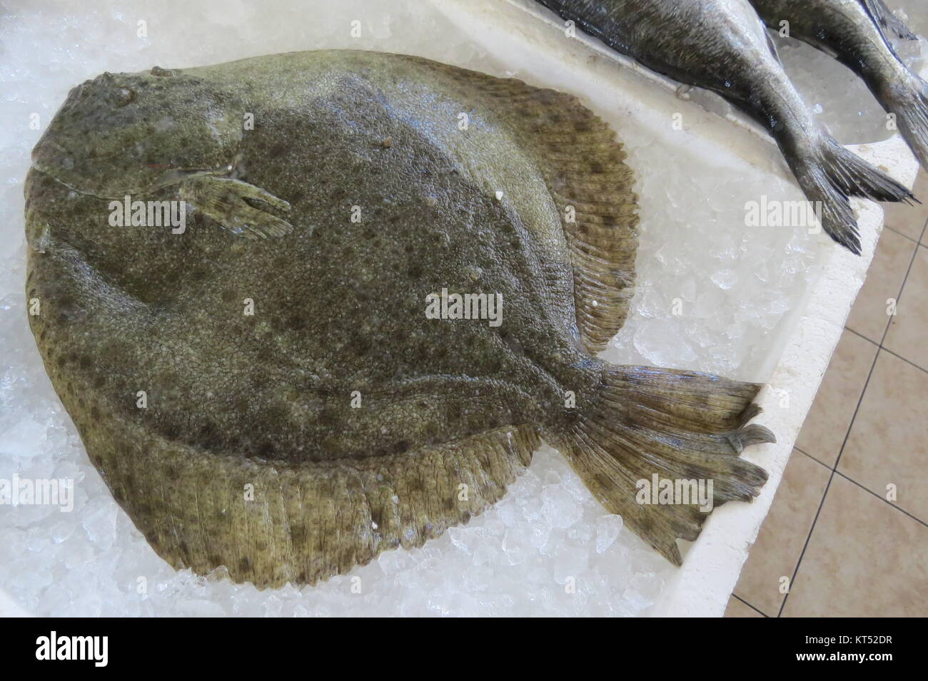 La Passera pianuzza (, la passera di mare Pleuronettiformi, Scholle,  Flunder) dal Mare Adriatico al mercato del pesce in Bar-city, Montenegro  Foto stock - Alamy