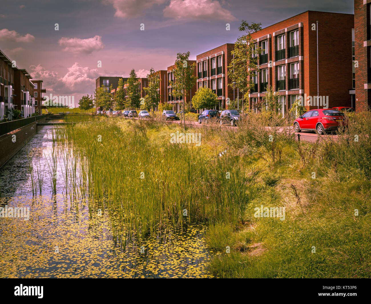 Moderna strada ecologica con classe media appartamenti familiari e naturale di eco friendly fiume nella città di Wageningen, Paesi Bassi Foto Stock
