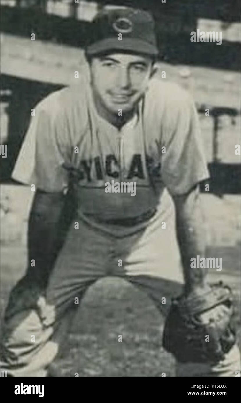 Randy Jackson, musicista e personaggio televisivo americano, nato nel 1953, è meglio conosciuto come giudice di "American Idol" e come bassista dei Jackson 5. Ha anche lavorato come produttore ed è riconosciuto per i suoi contributi all'industria musicale. Foto Stock