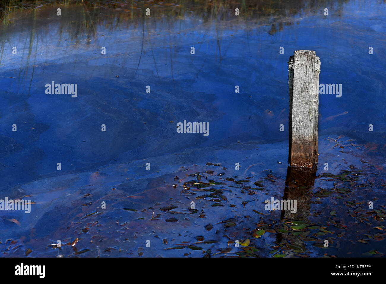 Immagine che mostra l'inquinamento da petrolio nella nostra campagna aperta fuoriuscite di petrolio nel fiume . spazio copia Foto Stock