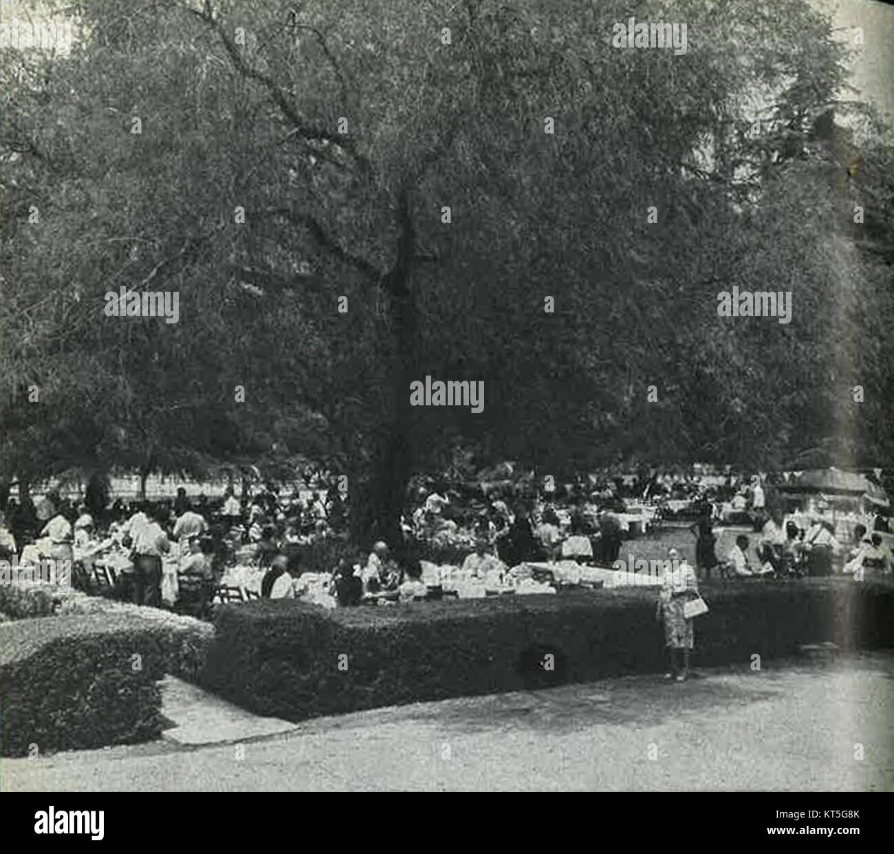 Questa fotografia cattura Samuel Golter ad una festa in giardino ospitata da A City of Hope, un'organizzazione dedicata alla ricerca medica e alla cura dei pazienti. L'evento mette in evidenza il supporto di communityÂ per la missione di organizationâ. Foto Stock