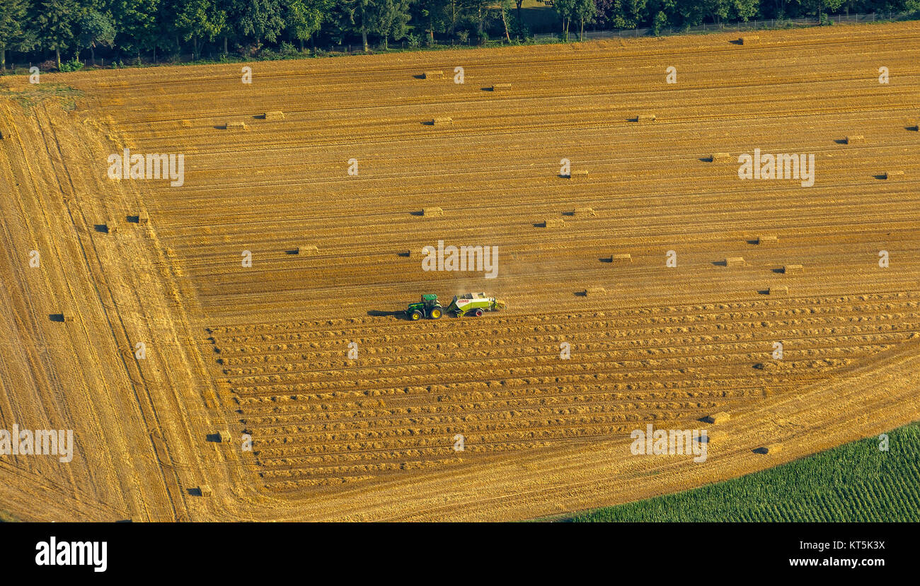 Agricoltore fasci di paglia in prossimità del centro di Mönchengladbach, agricoltore, agricoltura, Mönchengladbach, Niederrhein, Renania settentrionale-Vestfalia, Germania, Europa Foto Stock