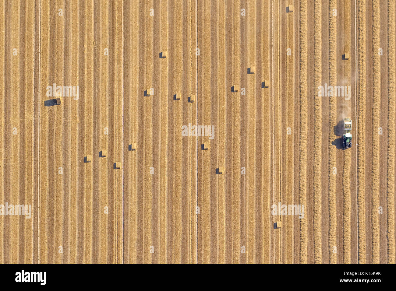 L'agricoltura, le balle di paglia e di trattori, il tempo del raccolto, Ubach-Palenberg, Renania settentrionale-Vestfalia, Germania, Europa Ubach-Palenberg, Renania settentrionale-Vestfalia Foto Stock