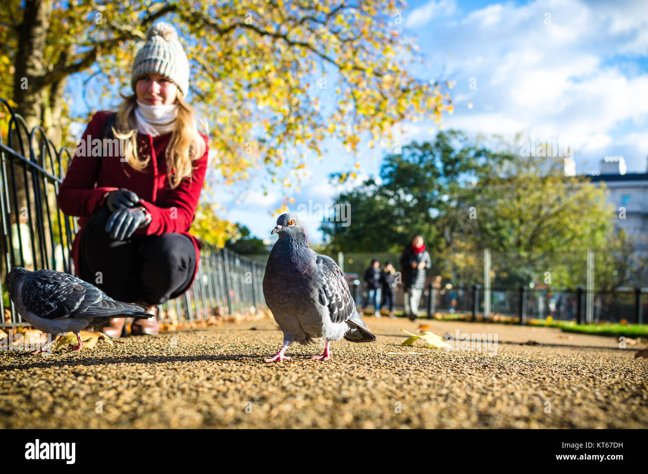 Una giovane donna e Piccioni a Hyde Park in autunno Foto Stock
