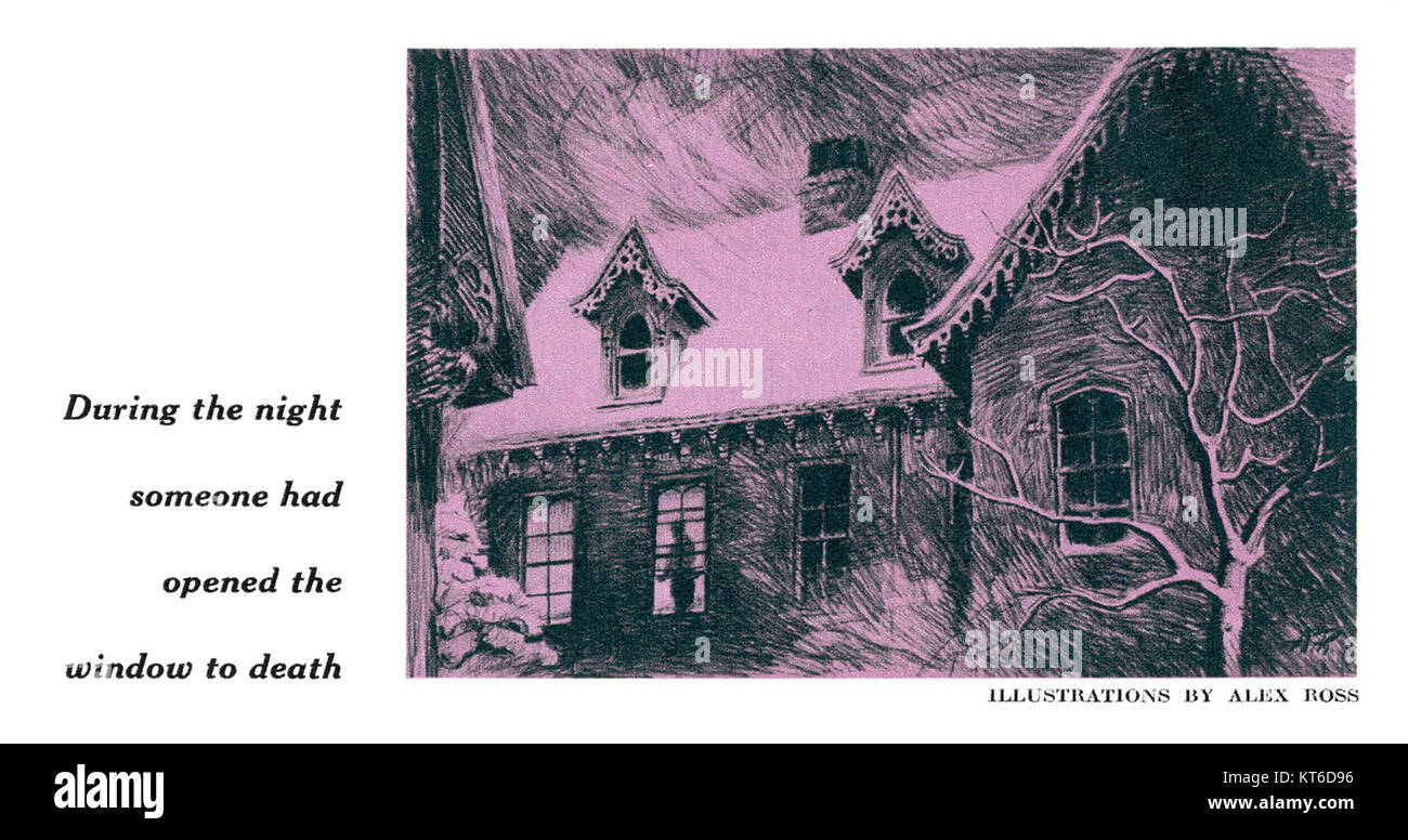 Wolfe-Vanishing Clue 3 fa parte di una serie di romanzi misteriosi. Questo libro presenta un altro caso complesso, che sfida i lettori con indizi e colpi di scena. La trama è incentrata su un detective che indaga su una serie di eventi misteriosi, offrendo una classica storia misteriosa con intricati rompicapo. Foto Stock