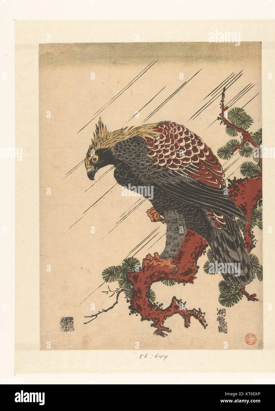 Questa opera d'arte intitolata "Arend op pijnboomtak in regen" presenta un'aquila arroccata su un ramo di pino durante la pioggia, catturata in un dipinto ospitato nel Rijksmuseum, che mostra la tradizione artistica olandese. Foto Stock