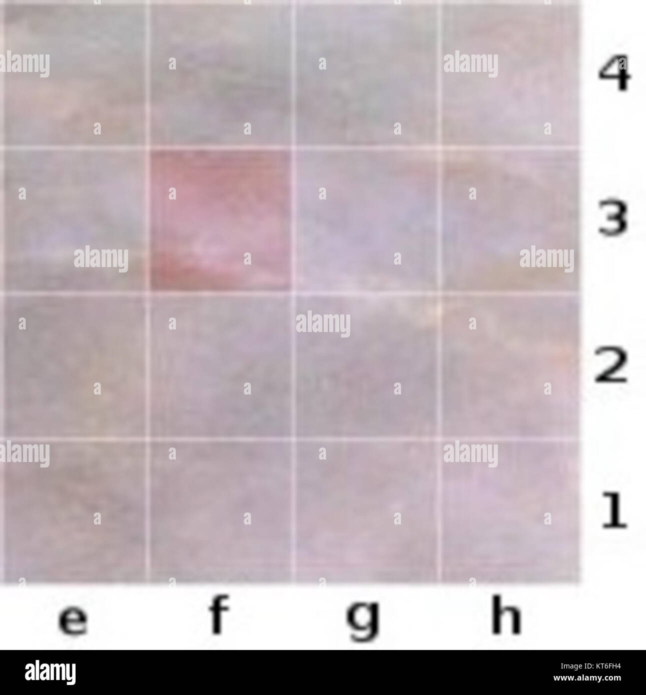 Arimaa è un gioco di strategia giocato su una tavola simile agli scacchi. Il gioco si concentra su pezzi di animali con regole di movimento uniche. Questo tabellone viene utilizzato nei giochi Arimaa competitivi, sfidando i giocatori a superare i loro avversari. Foto Stock