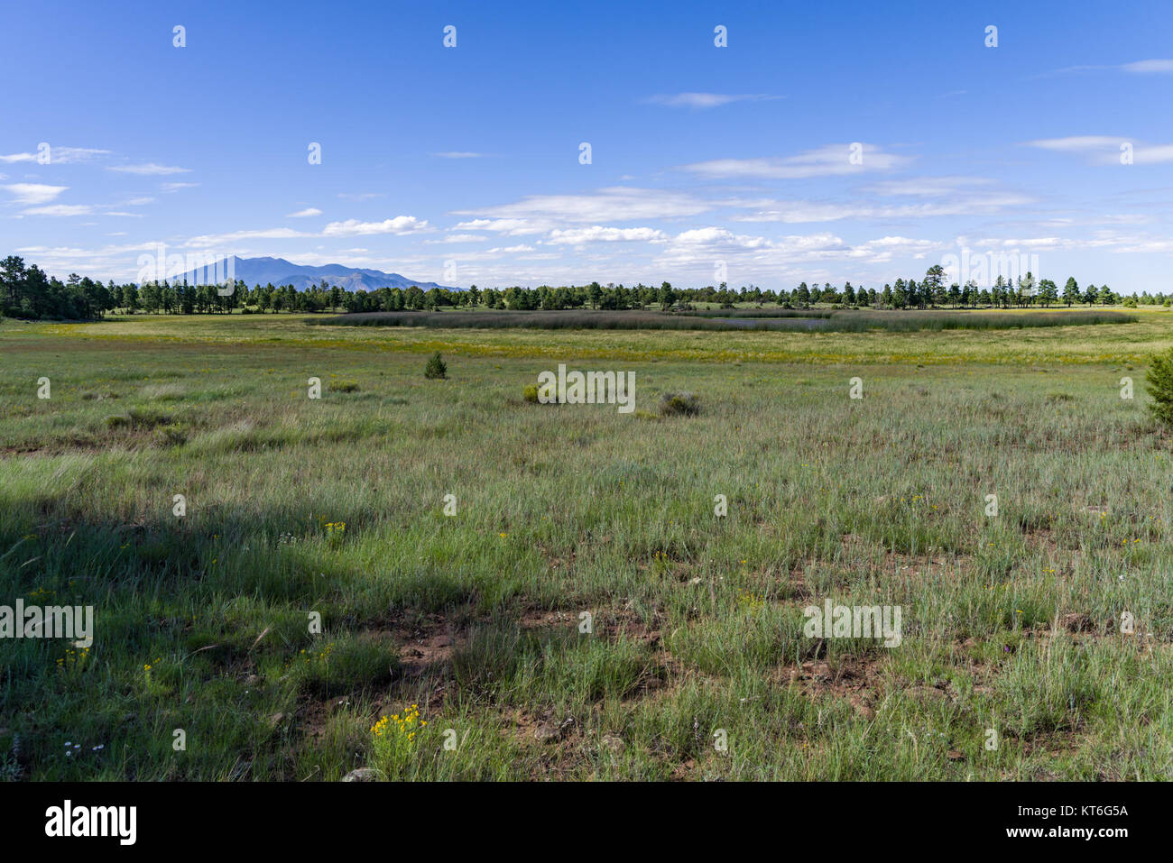 Arizona Trail- Anderson Mesa AZT-30 (36245316553) Foto Stock