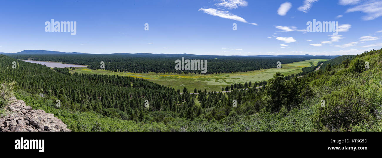 Arizona Trail- Anderson Mesa AZT-30 (36656047870) Foto Stock