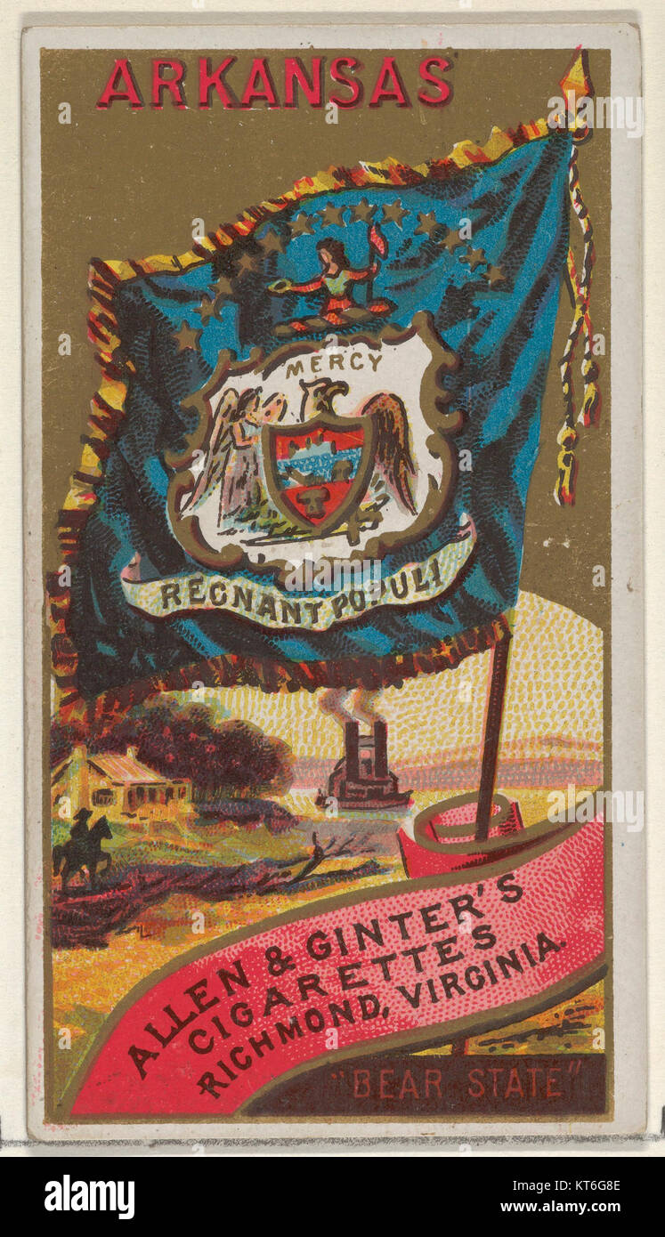 Questa immagine fa parte della serie Flags of the States and Territories, che rappresenta l'Arkansas. La bandiera cattura l'identità del stateâ ed è usata come simbolo di orgoglio statale, spesso visualizzato in contesti governativi e culturali. Foto Stock