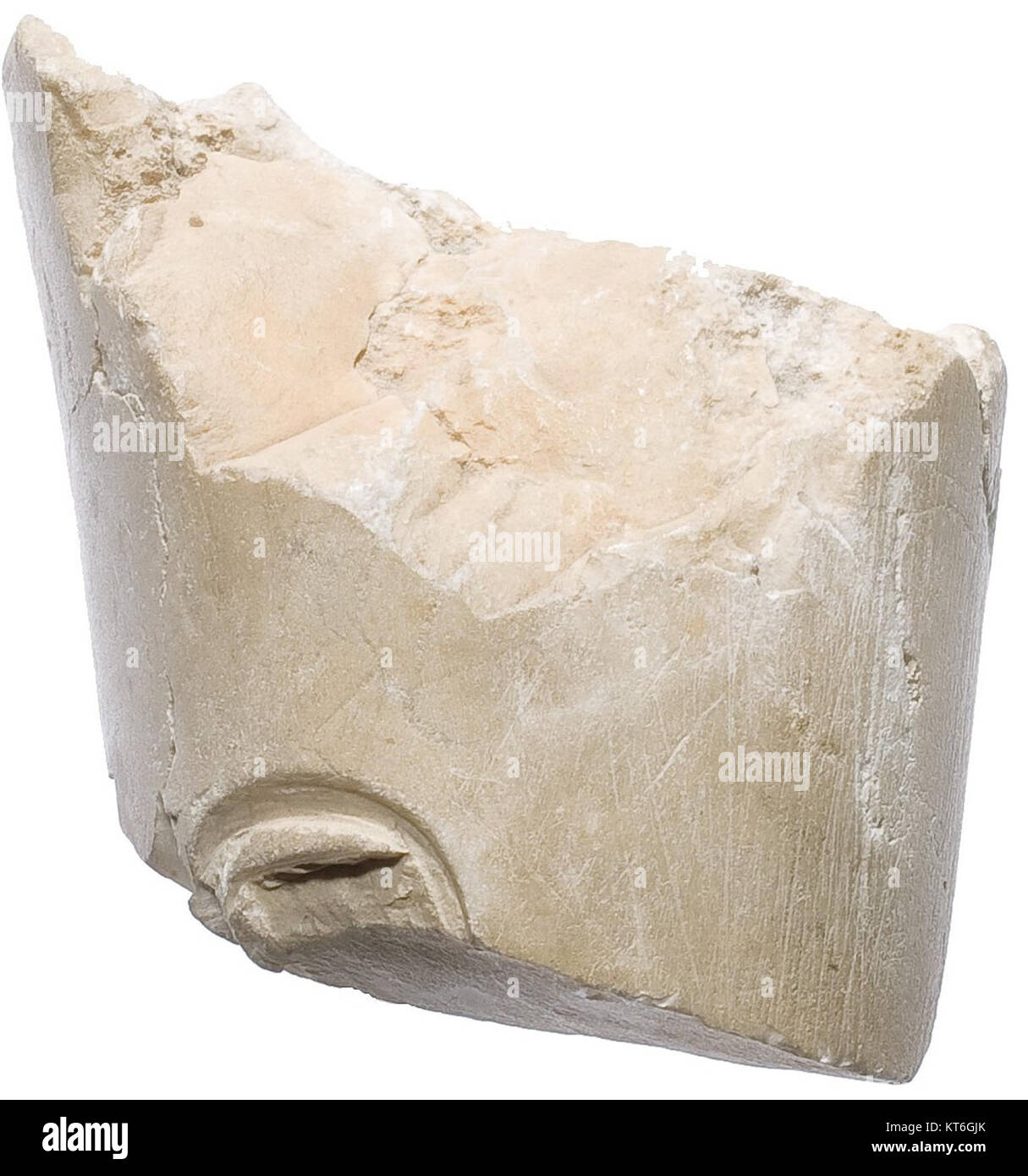 Il "Arm, Aten cartouche" si riferisce ad un manufatto della collezione del Metropolitan Museum of Art, catalogato come MET 21.9,512. Questo cartiglio è un pezzo di reliquia egizia antica, tipicamente usato per circondare il nome di un sovrano o di una divinità, che rappresenta il dio Aten. Foto Stock