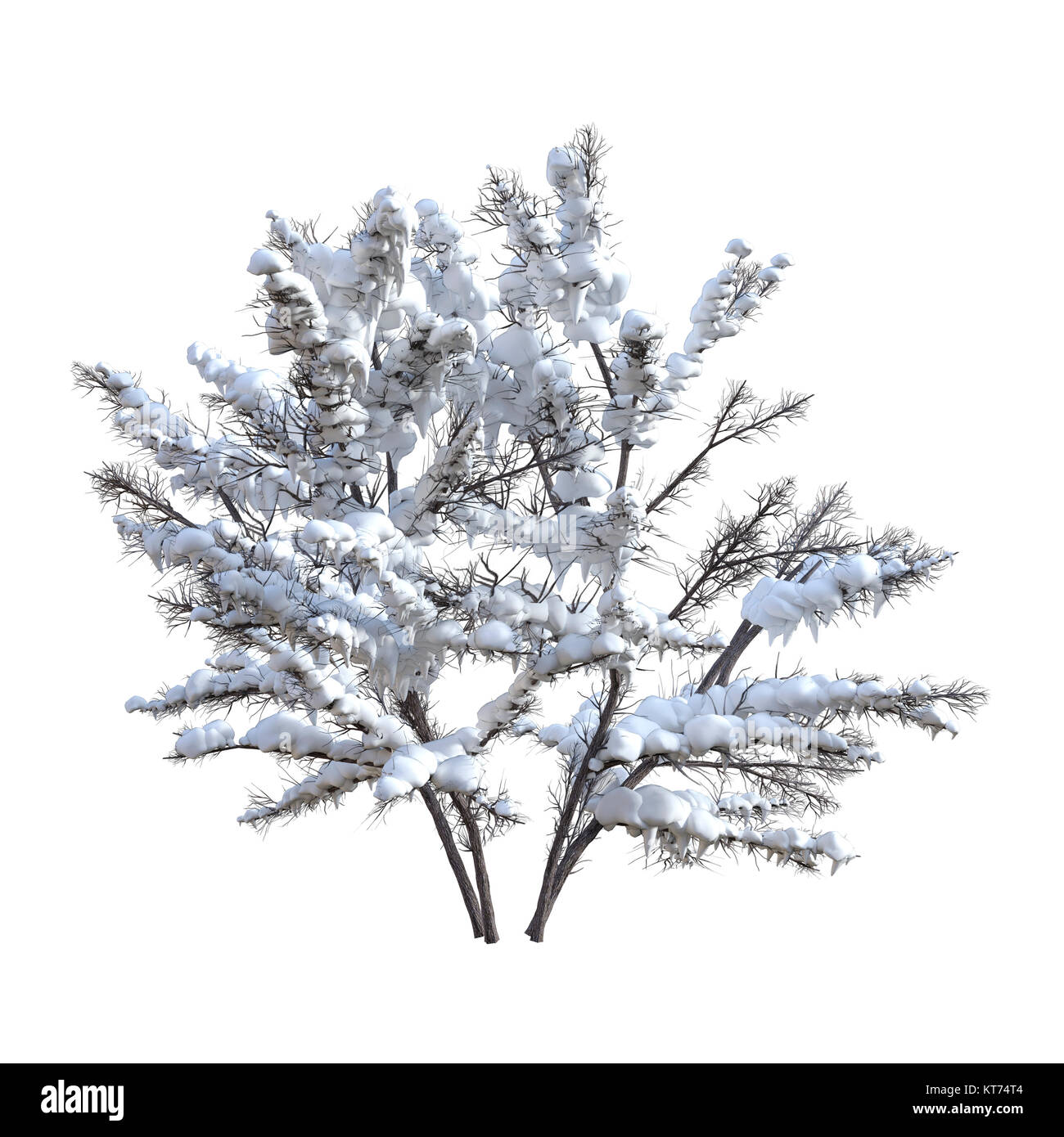 3D Rendering Bush sotto la neve su bianco Foto Stock